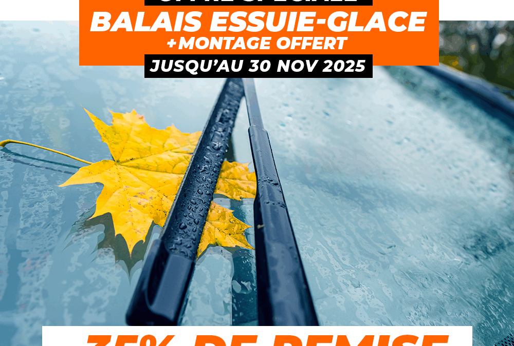 Balais Essuie-glace